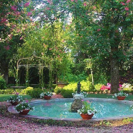 La Striscia Wine Resort Arezzo Exterior foto